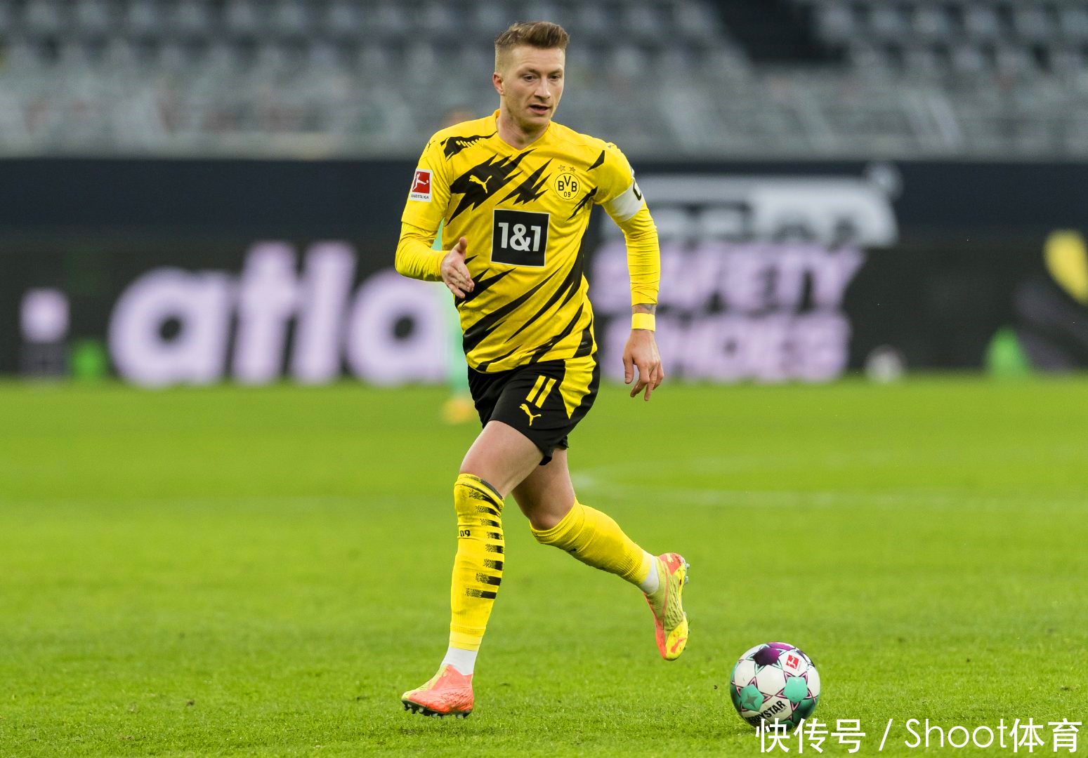 真回馈玩家！魔域口袋版十周年庆即将启动